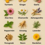 top 20 medicinal herbs